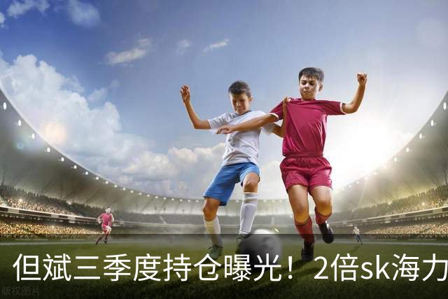 但斌三季度持仓曝光！2倍sk海力士或浮亏40%