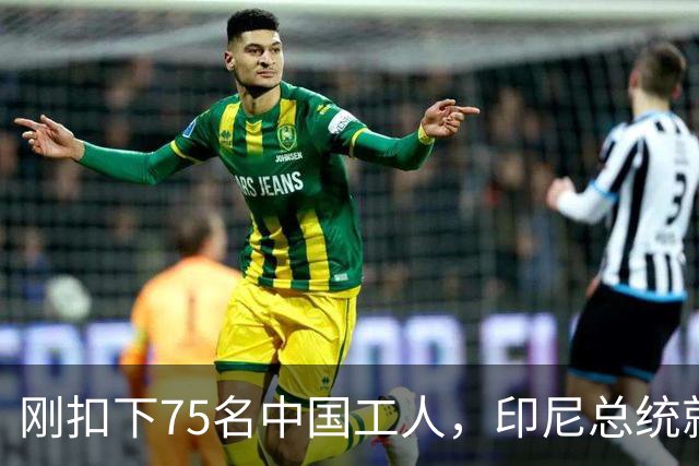 刚扣下75名中国工人，印尼总统就表态：将如家人般保护中方投资者