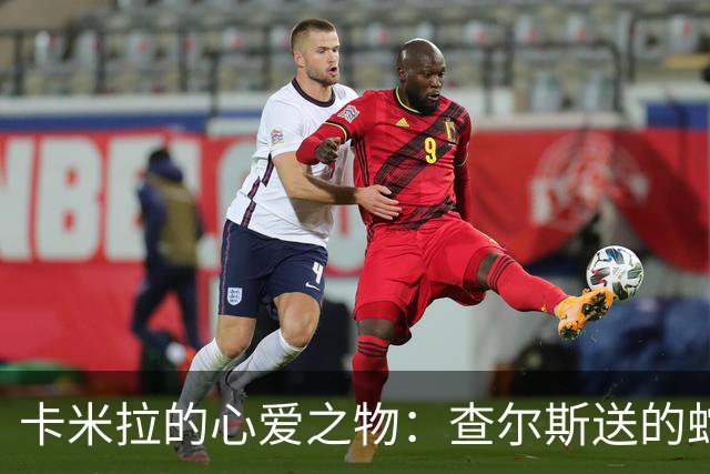 卡米拉的心爱之物：查尔斯送的蛇形项链，戴了20多年和她绝配