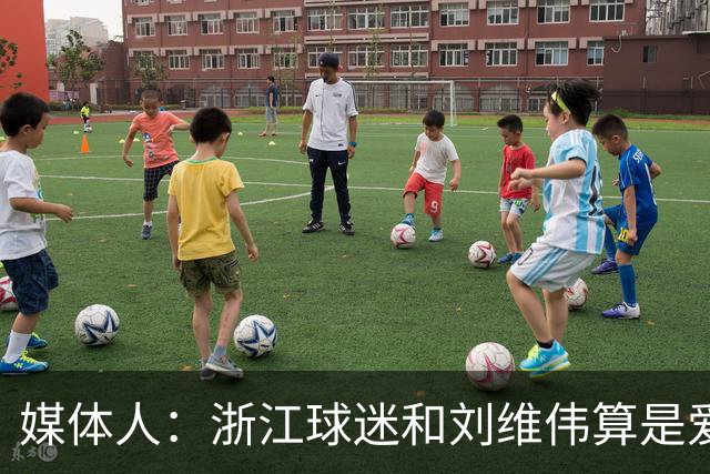 媒体人：浙江球迷和刘维伟算是爱之深恨之切 这些年一直恩怨不断