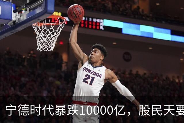 宁德时代暴跌10000亿，股民天要塌了