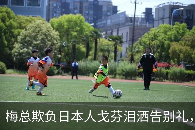 梅总欺负日本人戈芬泪洒告别礼，莱巴表白中国伊埃拉救六赛点徒劳