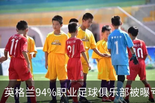 英格兰94%职业足球俱乐部被曝亏损，揭示了英超的虚假繁荣