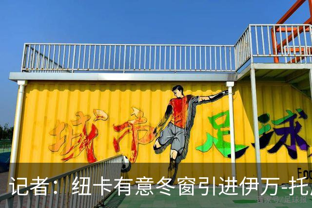 记者：纽卡有意冬窗引进伊万-托尼，尚未开启谈判