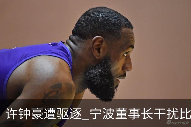 许钟豪遭驱逐 宁波董事长干扰比赛被停赛+罚款3万