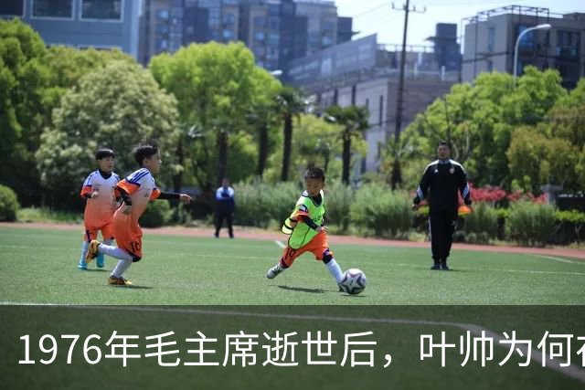 1976年毛主席逝世后，叶帅为何在陈锡联名字上画问号，李先念：请放心！