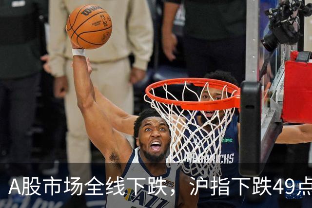 A股市场全线下跌，沪指下跌49点，科创板下跌4.8%再创创新低